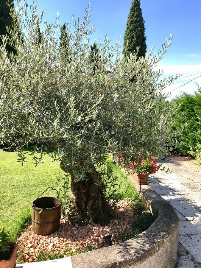 B&B Castel Montorio Verona Exterior photo
